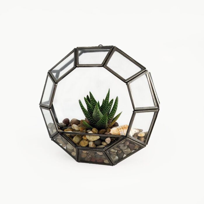 Circle Glass Open Terrarium, Indoor Garden Tabletop Or Wall Mount Decorative Planter For Air Plants, Succulents & Artificial Plants