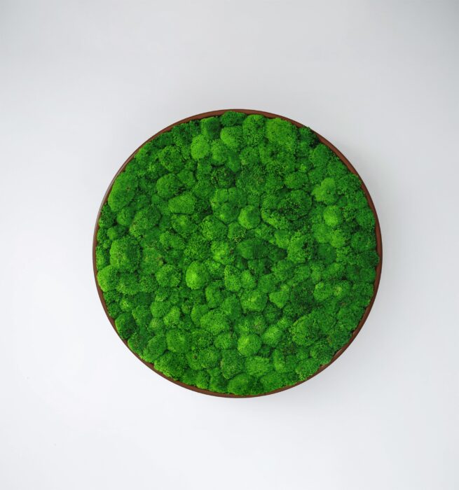 Circular Raised Panel Containing Preserved Plants Or Moss For High Level Acoustic Absorption