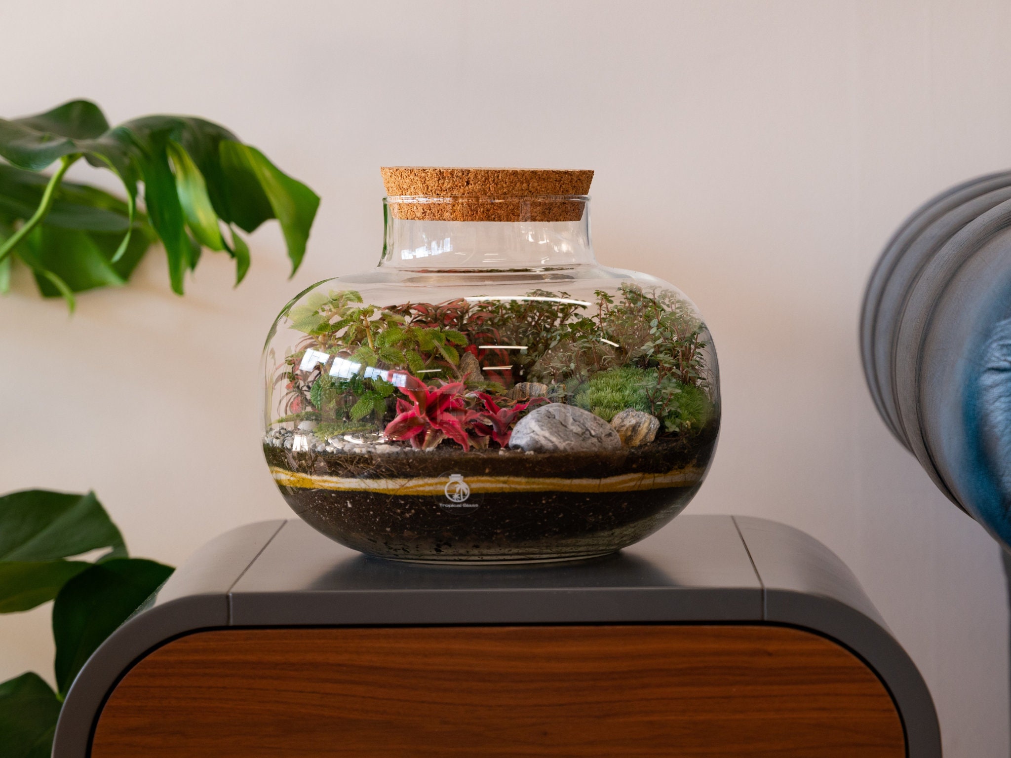 Complete Diy Terrarium Kit With 22cm Glass Jar, Plants & Decorations