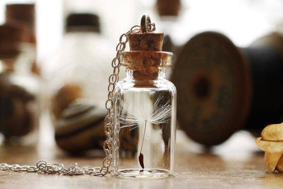 Dandelion Wish Bottle Necklace, Silver Gold Bronze, Tiny Glass Jar Pendant Natural Seeds, Botanical Flower Floral Lucky Terrarium