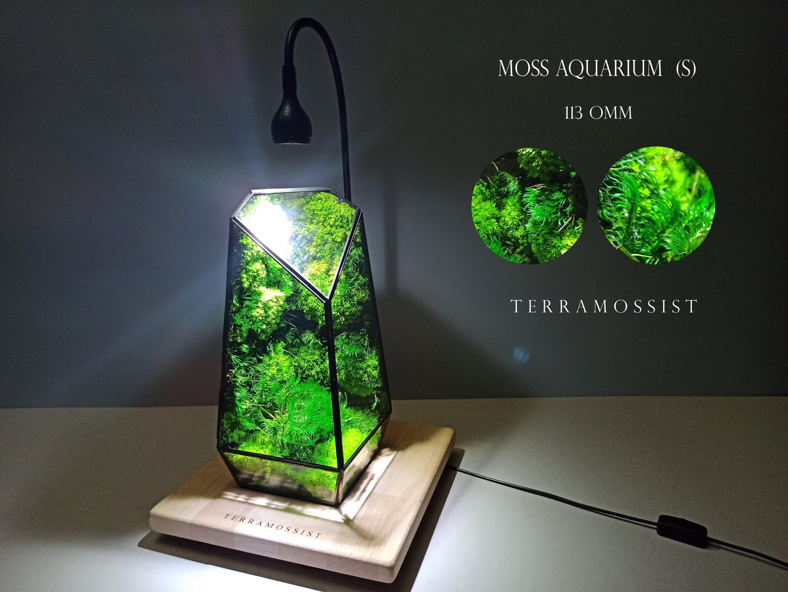 https://terrariumcreations.com/wp-content/uploads/2023/01/Decor-Home-Art-Ready-To-Fly-The-Vertex-Kit-Preserved-Moss-Glass-Visuel-Relaxation-Terrarium-Exclusive-Design-By-Terramossist-Gallery-5-scaled.jpg