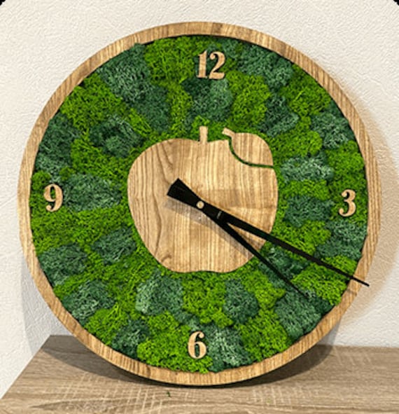 Diameter 40cm, Preserved Moss Art Framed, Real Decor, Living Wall Large, Plant Eco Friendly Home Mother's Day V44