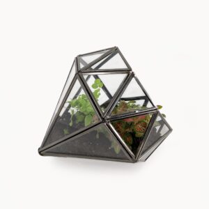 Diamond Glass Open Terrarium, Indoor Garden Tabletop Decorative Geometric Planter For Air Plants, Succulents & Artificial Plants