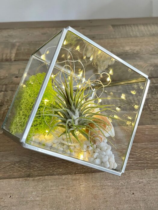 Diy Geometric Glass Air Plant Terrarium, Silver Cube. Includes Live Plant. Glass Terrarium. Christmas Gift, Stocking Filler