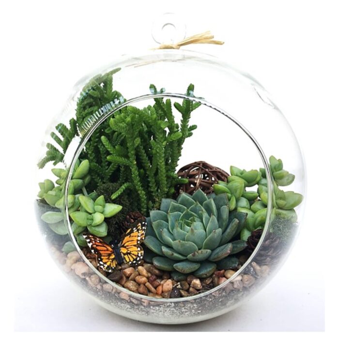 Diy Succulent Terrarium Kit, Kit "Woodsy", Housewarming Gift, Birthday Glass Valentine Home Decor