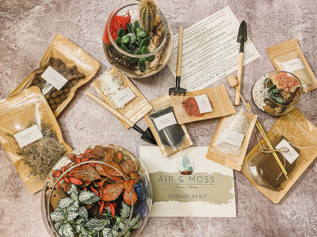 Diy Terrarium Kit Make Your Own With Optional Glass & Plants 3