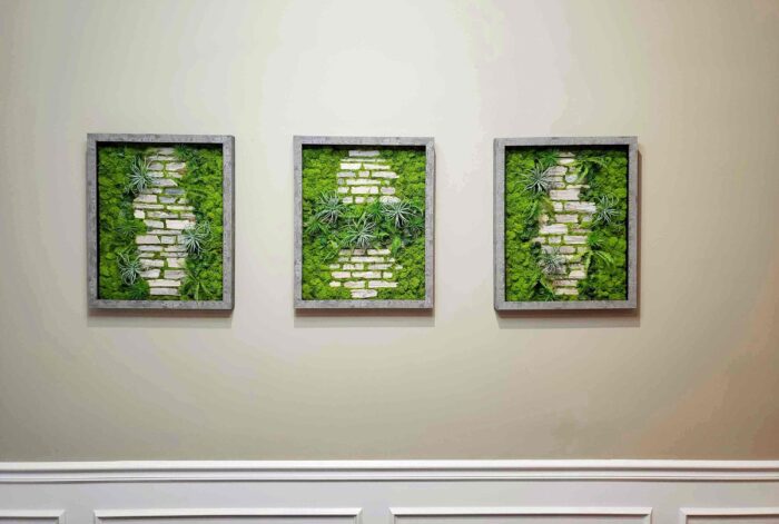 Faux Succulent Moss Wall Art, Handmade Preserved Moss Wall Picture, Gift New Home, Vertical&horizontal Frame, Set Of 3