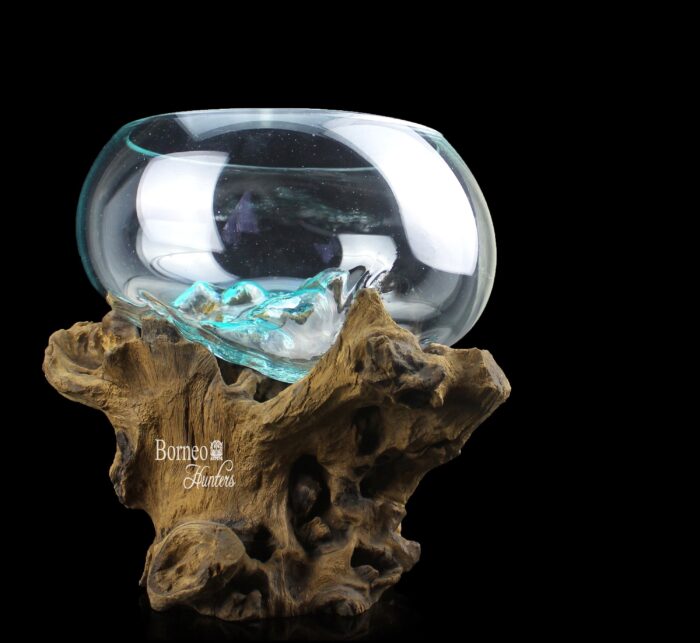 Fish Tank, Terrarium, Hand Blown Molten Glass On Sculptural Wood ; Table Top Decor, Vase, Indoor Planter 10.2x10.2x10" | 26x26x25cm