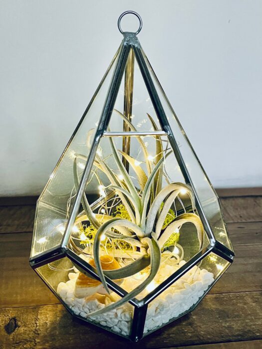 Geometric Air Plant Terrarium, Diy. Indoor Plant. Silver Pyramid Glass Terrarium. Terrarium Plant, Valentine Gift For Her