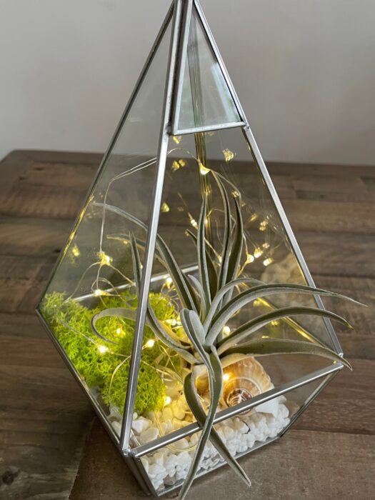 Geometric Air Plant Terrarium. Silver Pyramid Glass Plant Bonsai Container. Valentine Flower Gift
