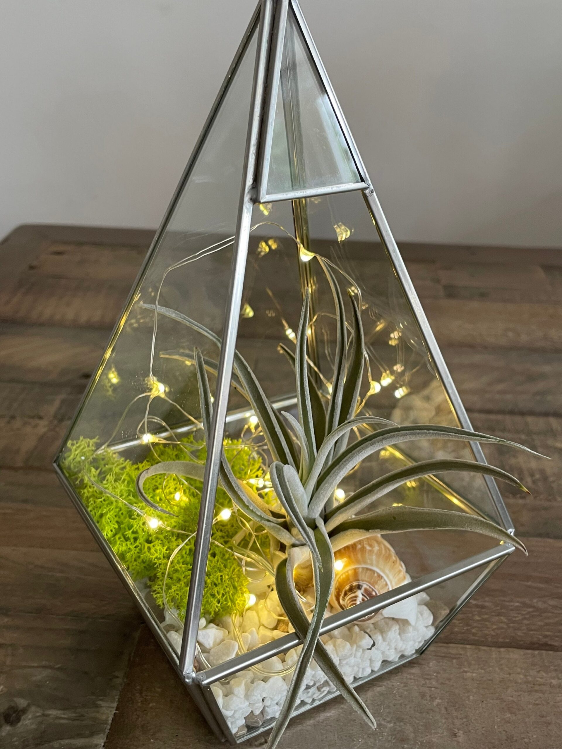 Air Terrarium popular Kit, pyramid top glass terrarium for hanging or to sit -- copper or silver color -- terrarium supplies -- eco friendly