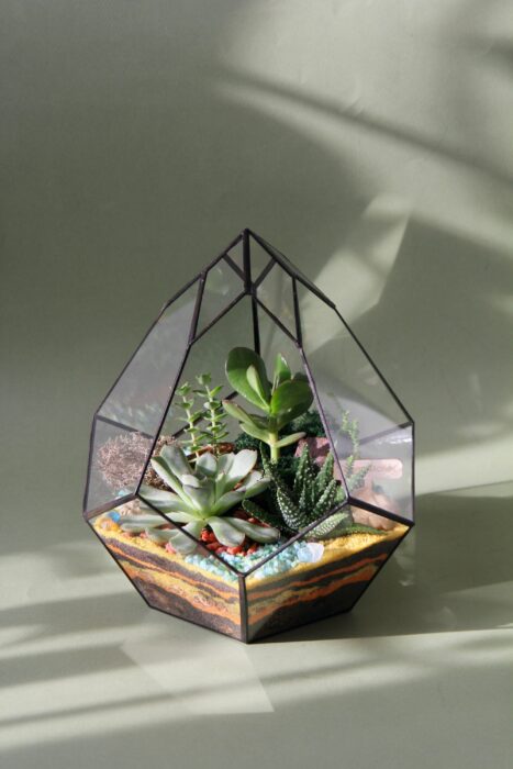 Geometric Glass Terrarium "Flower Bud" - Succulent Florarium. New Home Gift, Minimalist Decor, Christmas Gift For Plants Lover