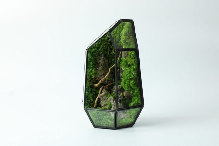 Geometric Terrarium | Prism Desktop Mossarium Centrepiece Preserved Moss Art Crafts For Adults