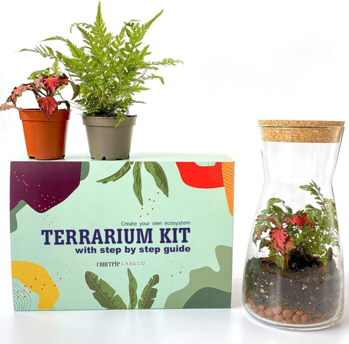 Terrarium Making Kit For Corporate Team Building