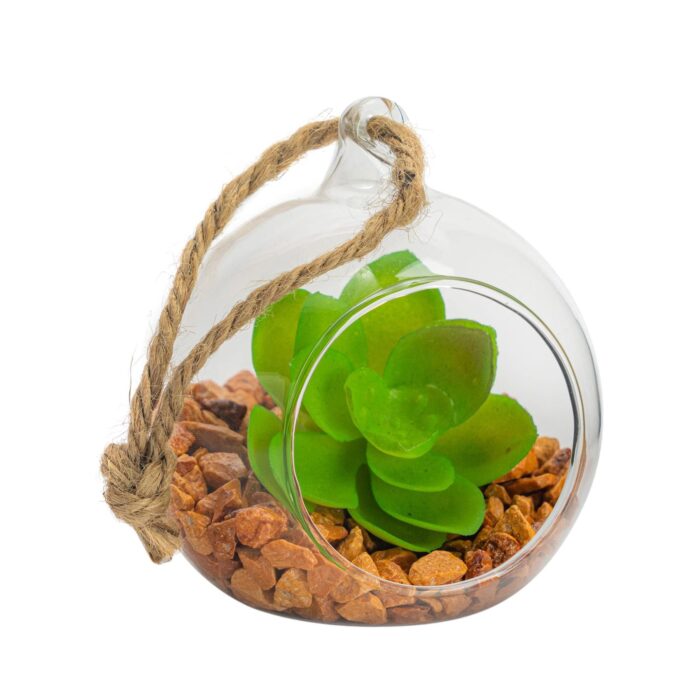 Glass Plant Terrarium Set For Succulent Plants Ferns Cactus - Tabletop Or Hanging Display 80mm