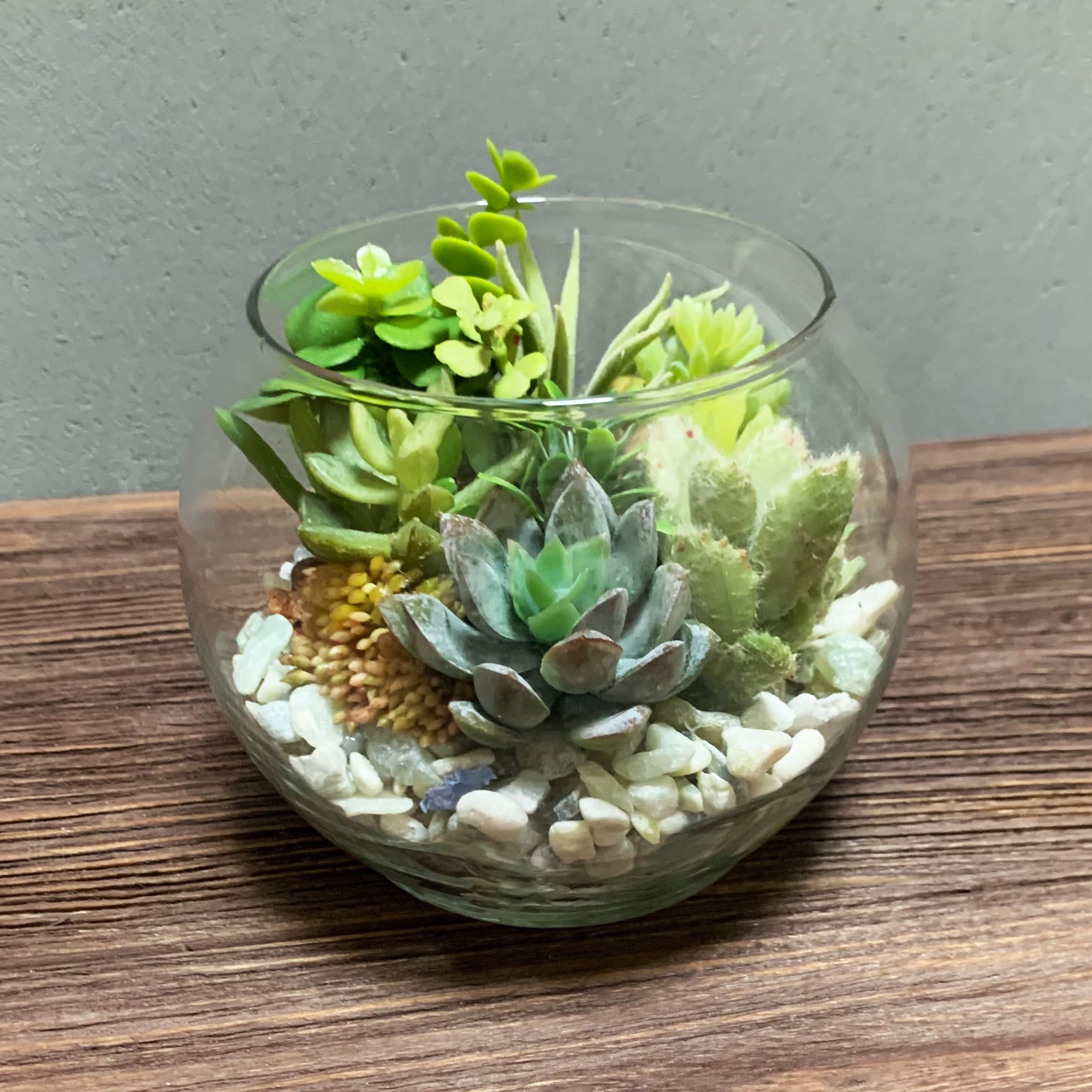 LED Terrarium Spotlight With Wooden Base Terrarium Creations