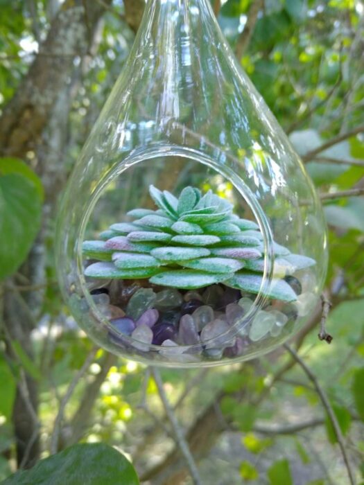 Glass Terrarium Ornament With Artificial Succulent & Rainbow Fluorite Chips