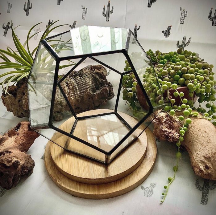 Glass Terrarium/Succulent Plant Pot. Free Compost/Clay Balls