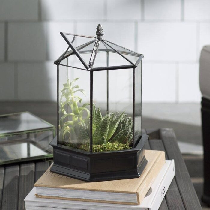 H Potter Six Sided Glass Terrarium, Herb Container Succulent Garden Planter, Wardian Case, Glasshouse, Valentine Birthday Gift Idea