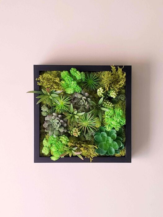 Handmade 10.5"x10.5" Faux Succulent Moss Wall Art, Preserved Picture, Picture Black/White Frame, Hanging&standing Frame