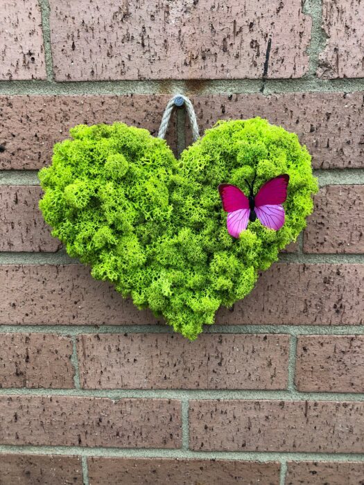 Handmade Eco Frendly Preserved Moss Heart
