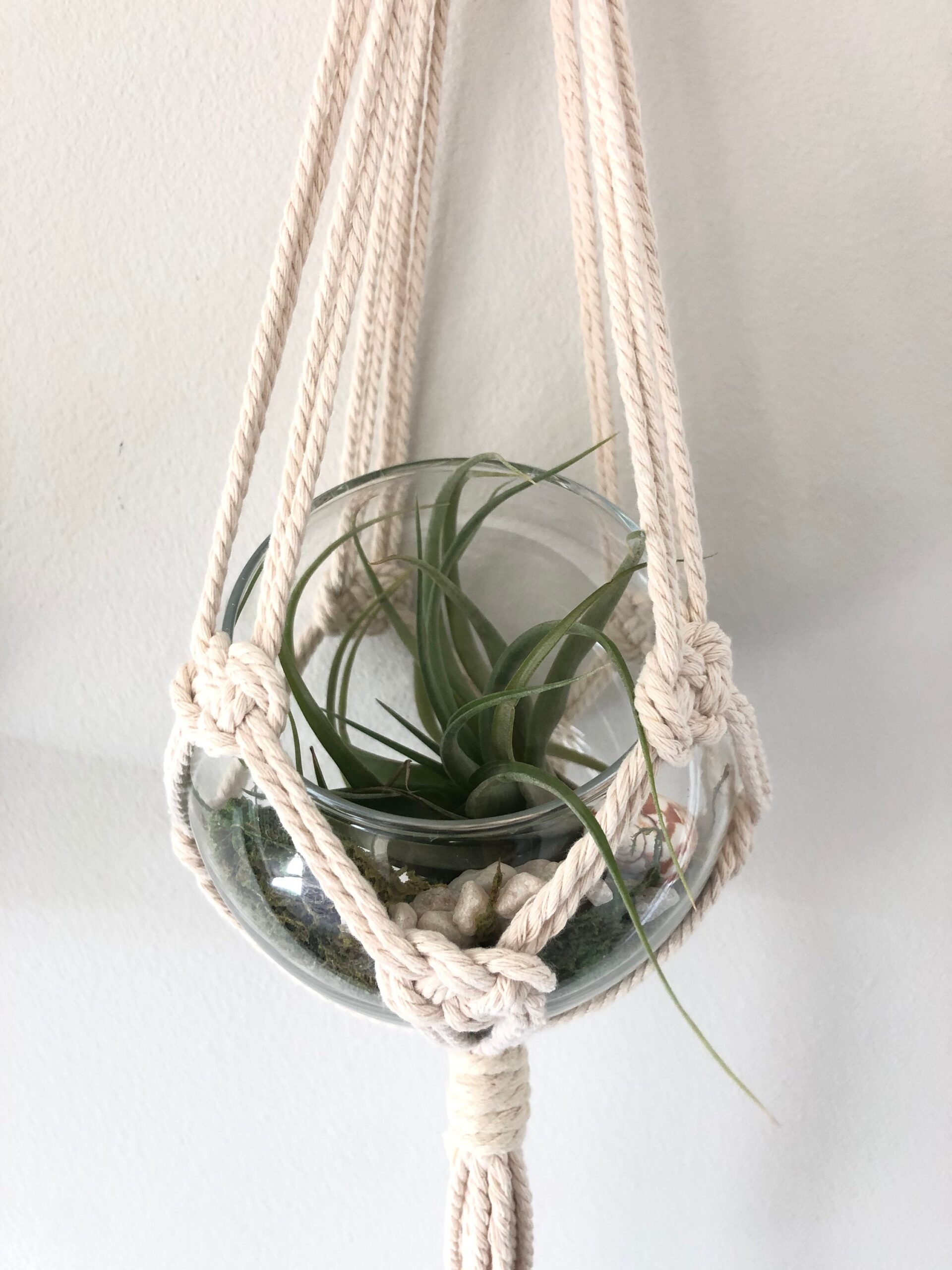 Eco DIY Macrame Plant Hanger Kit - Mossy Green