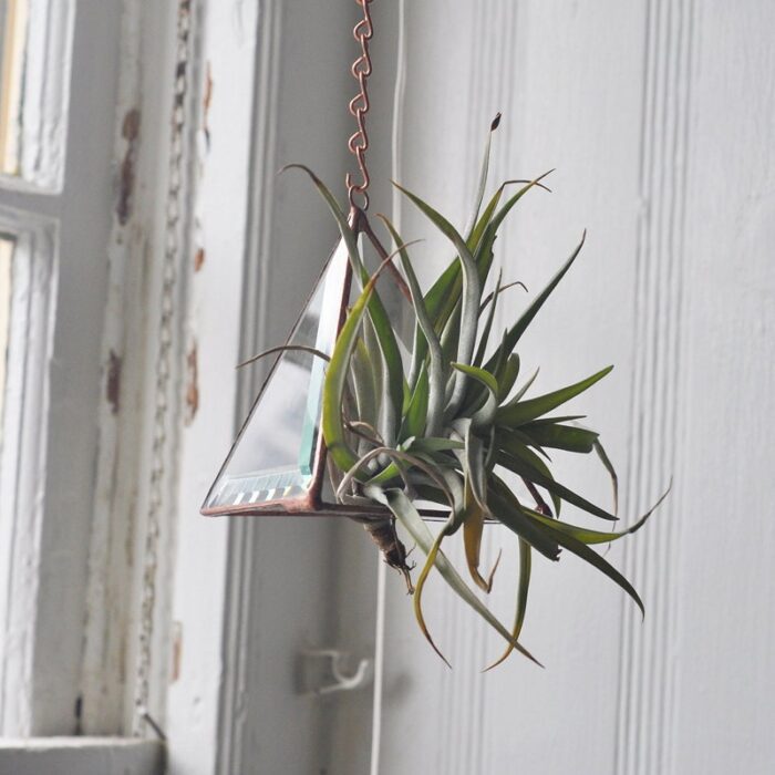 Hanging Aer Glass Terrarium For Air Plant Terrarium Stained Glass Prism Supplies Eco Friendly