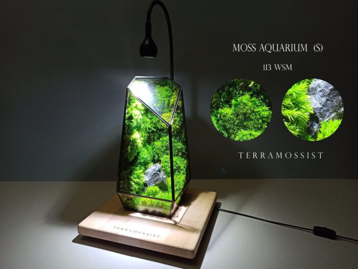 Home Decoration Ready To Fly The Vertex Kit Preserved Moss Aquarium Jungle Art Relaxing Geometric Terrarium By Terramossist Gallery