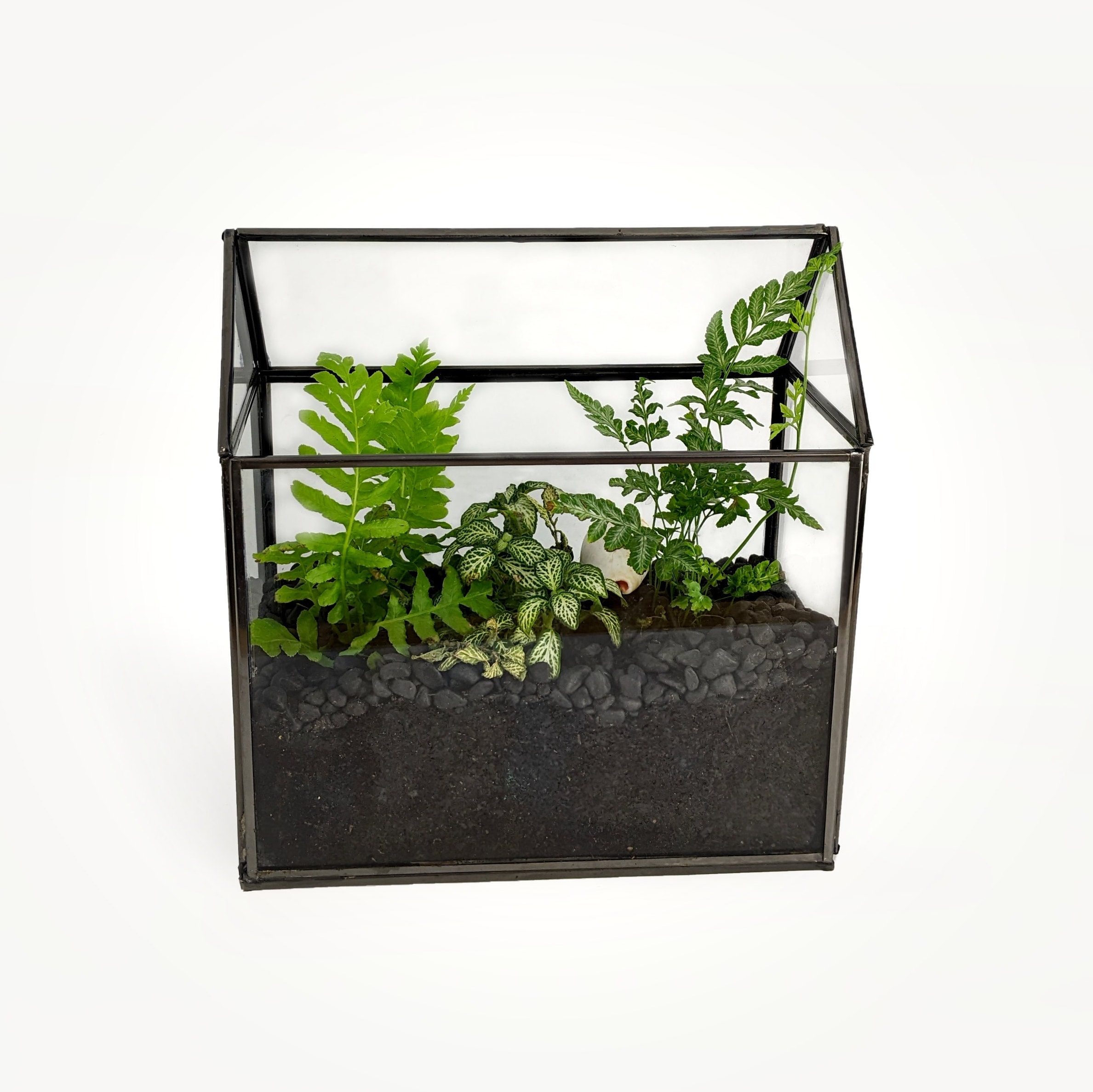 House Glass Open Terrarium, Indoor Garden Tabletop Decorative Planter For Air Plants, Succulents
