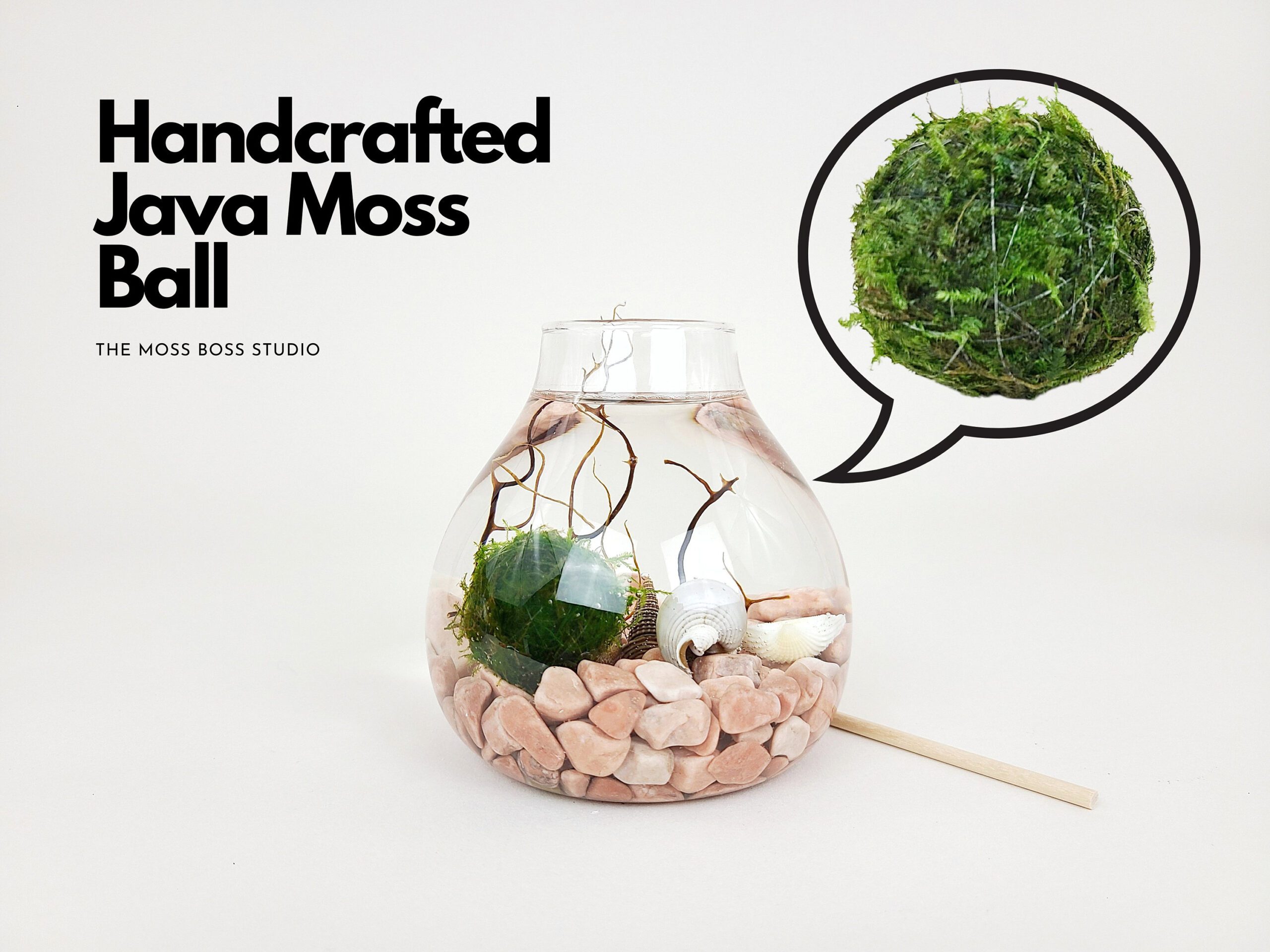 Jo Java Moss Ball Terrarium Kit Office Desk Accessories Diy Craft Kits  Indoor Plant Gift Christmas Day Gifts Unique Birthday For Her - Terrarium  Creations