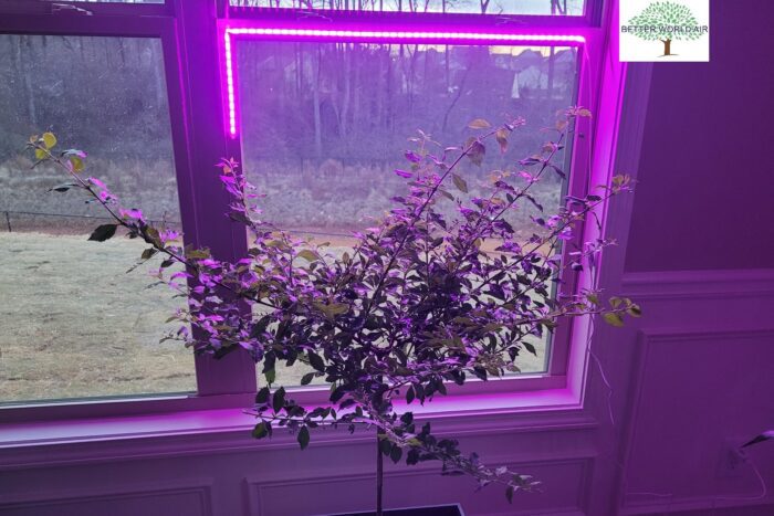 Led Plant & Terrarium Grow Lights