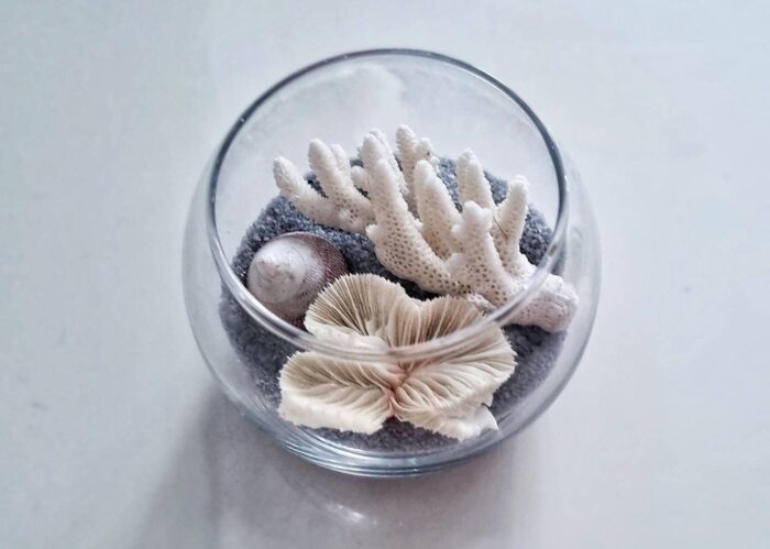 Little Coral Terrarium. Glass Bowl Display Centrepiece Ocean Decor