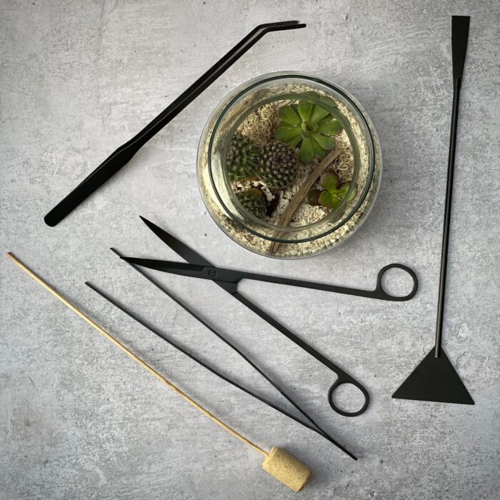 Make Your Own Cactus + Succulent Diy Terrarium Kit Tool Set With Tutorial Film, Materials, Plant Lovers Gift