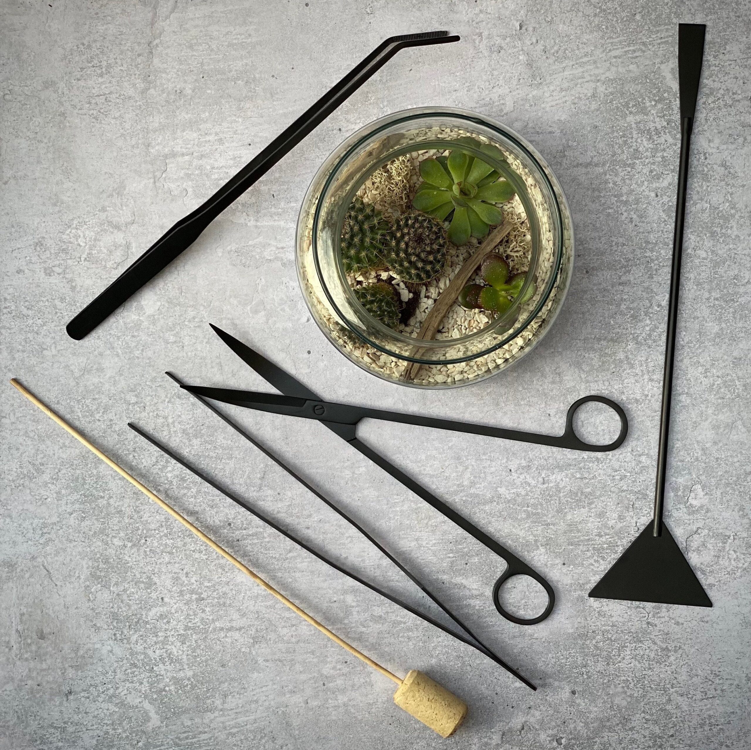 Make Your Own Cactus + Succulent Diy Terrarium Kit Tool Set With