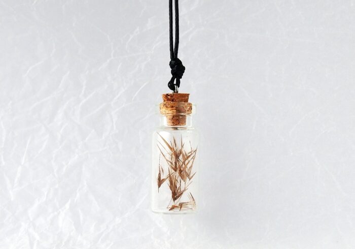 Mini Bottle Necklace With Dried Phragmites, Enchanted Forest Necklace, Glass Vial Tiny Terrarium, Magic
