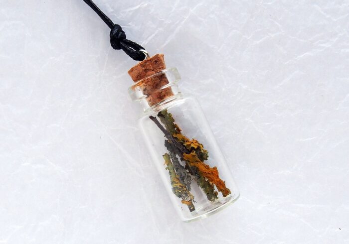 Mini Bottle Necklace With Tree Moss, Enchanted Forest Necklace, Glass Vial Tiny Terrarium, Small