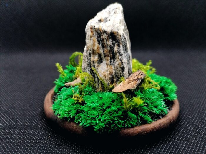 Mini Preserved Moss Sculpture