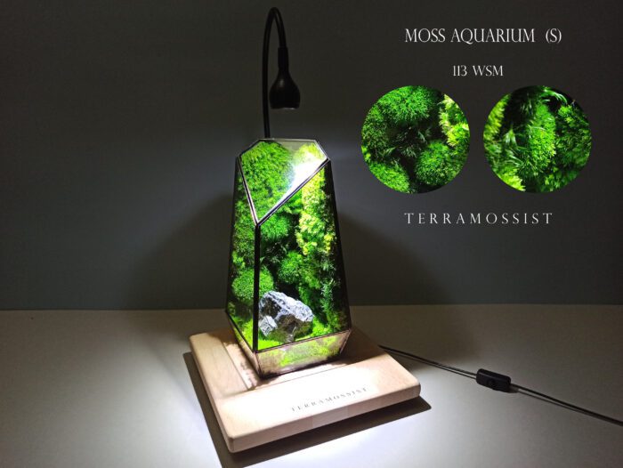 Miniature Forest Art Decor İndoor The Vertex Kit Preserved Moss Glass Vessels Geometric Terrarium Exclusive Design By Terramossist Gallery