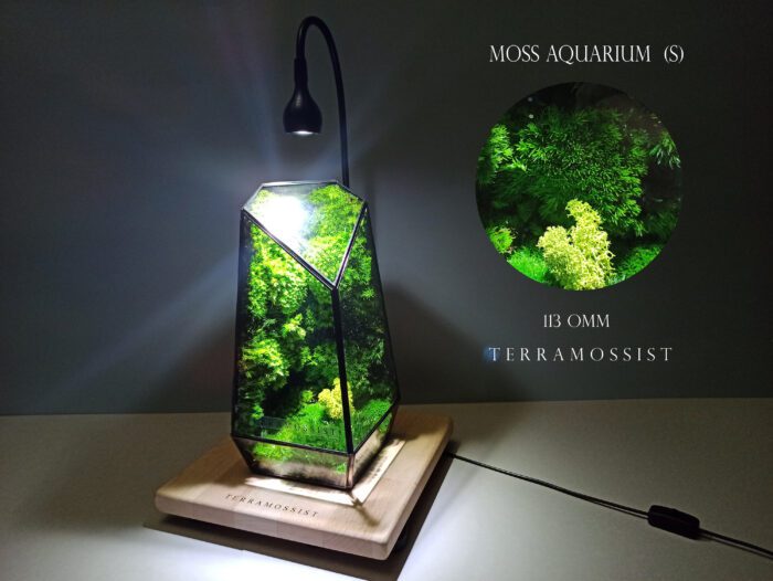 Miniature Forest Art Table Night Lamp The Vertex Kit Preserved Moss Glass Vessels Home Decor Geometric Terrarium Design By Terramossist