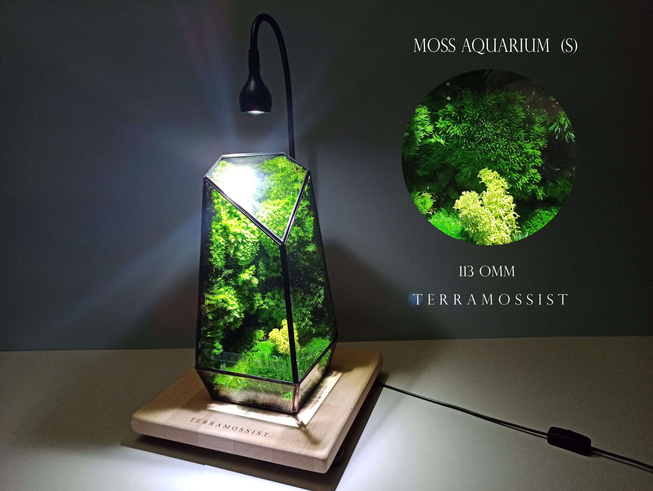 Miniature Forest Art Table Night Lamp The Vertex Kit Preserved Moss Glass  Vessels Home Decor Geometric Terrarium Design By Terramossist - Terrarium  Creations