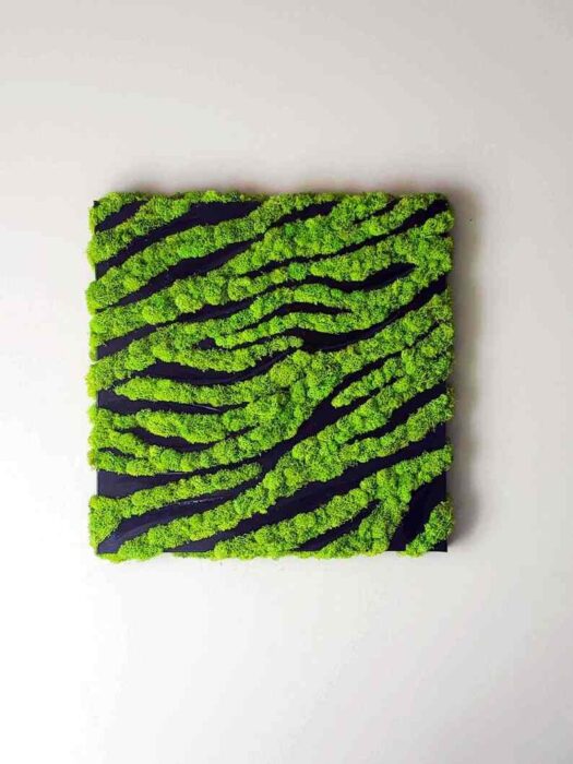 Modern Moss Wall Art, Handing Wall Moss Decor, Zebra Style Preserved Art 20'x20"