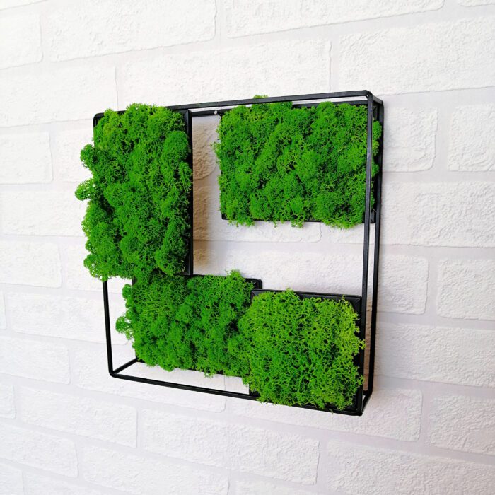 Moss Art, Modern Green Wall Hanging, Preserved Moss, 3D Frame, Loft Decor, Green Decor in Modern Style