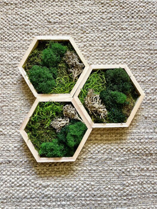 Moss Wall Art | Preserved Decor Honeycomb Home Wood Hexagon Green & Beige