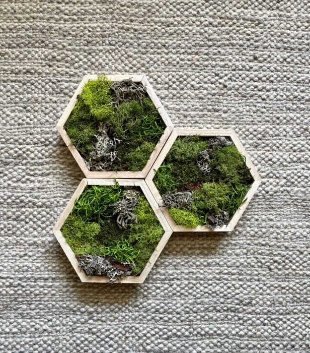 Moss Wall Art | Preserved Framed Hexagon Green