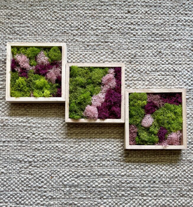 Moss Wall Art | Preserved Framed Square Green & Pink