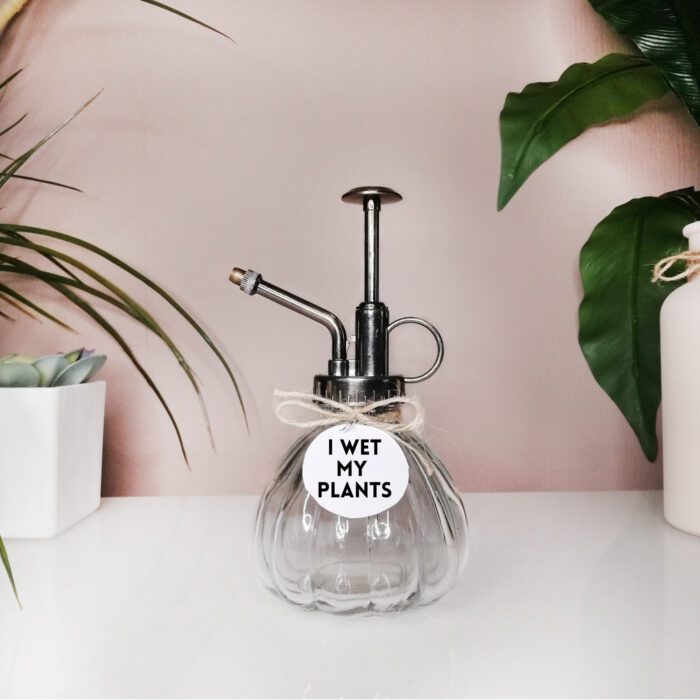 Plant Mister, Lovers Gift, I Wet My Plants, Spray Mini Succulent Watering Can Indoor, Plant Dad Gift