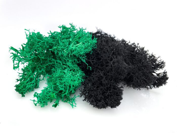 Preserved Black & Green Moss | Dried Moss Plants For Terrarium Color Terrarium Crafts Resin Craft Supply Sea Craft Lichen