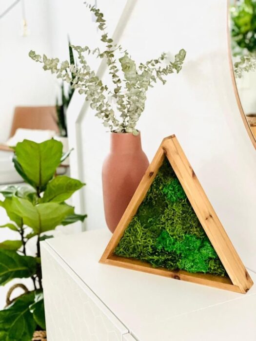 Preserved Moss Art Framed | Triangle Real Decor, Nature Room Living Wall Art, Large Wall, Green Home Decor