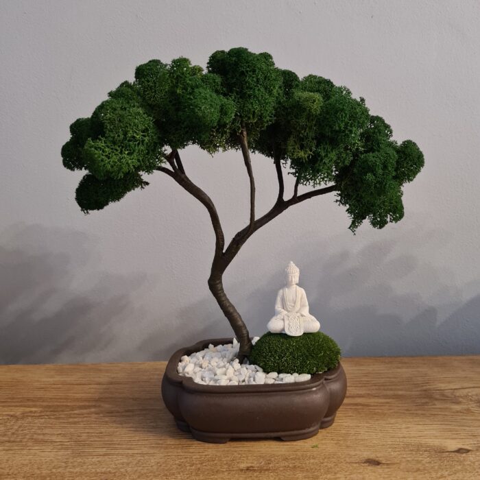 Preserved Moss Bonsai Tree | Buddha Unique Tranquility, Zen, Nature Art, Meditation