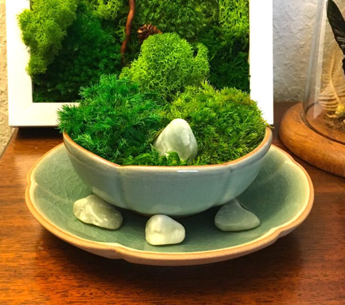 Preserved Moss in Hand Made Lotus Bowl Centerpiece